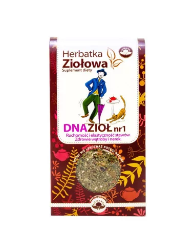 Natura Wita Herbatka ziołowa Dnazioł nr 1 80 g