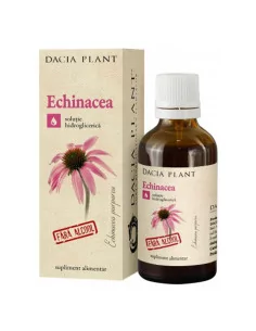 Dacia Plant Bezalkoholowy ekstrakt z echinacea jeżówka purpurowa dla dzieci odporność krople 50 ml