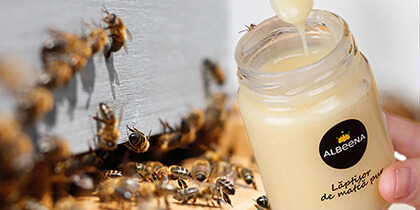Mleczko pszczele – eliksir młodości i witalności. Właściwości skład i działanie.